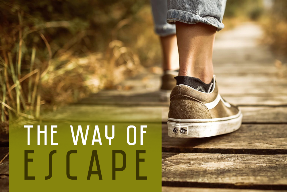The Way Of Escape Taking Your Focus Off Temptation Read John Pace